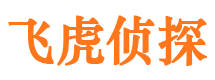 凤阳市侦探调查公司